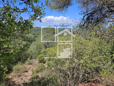 Inmueble en Calle Roure Monjo    , Barcelona