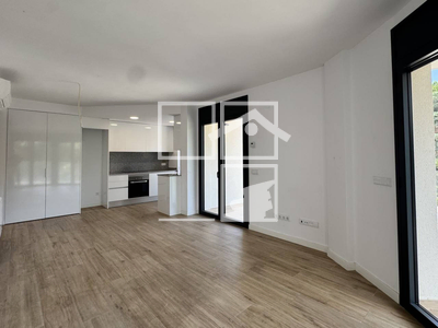 Local en Olot Girona