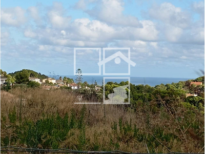 Local en Cunit Tarragona