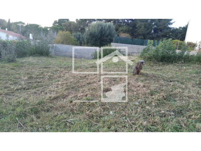 Local en Cunit Tarragona